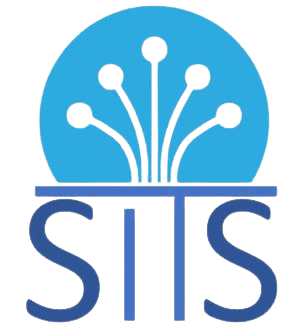 Smart I.T Solutions Logo